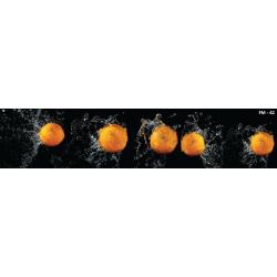 Панель ALBICO FM 42 2800*610*6 мм (глянец)