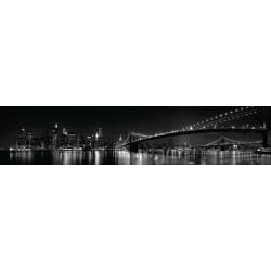 Панель ALBICO FM 43 2800*610*6 мм (глянец)