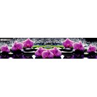 Панель ALBICO SP 121 2800*610*6 мм (глянец)