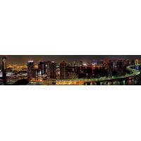 Панель ALBICO SP 099 2800*610*6 мм (глянец)